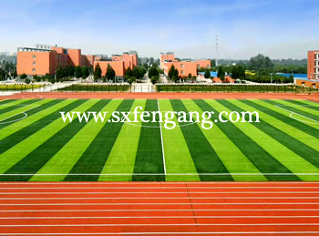 �����ƺ�����Ч���D